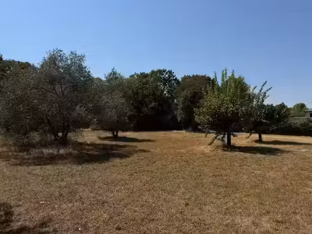 vente terrain 478 m² à saint-jean-de-cornies (34160)  161 900 €