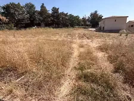vente terrain 645 m² à vigoulet-auzil (31320)  179 000 €