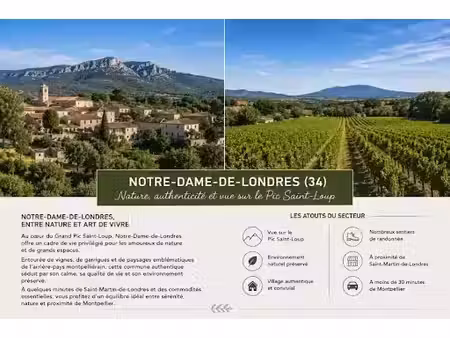 vente terrain 900 m² à notre-dame-de-londres (34380)  229 900 €