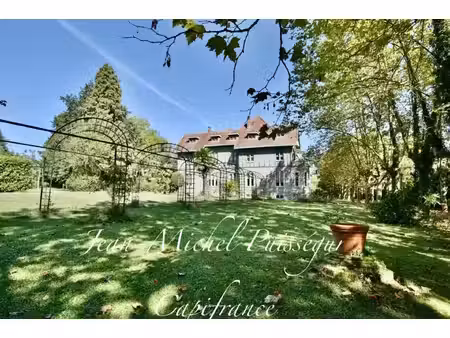 dpt haute garonne (31)  à vendre à saint gaudens manoir 12 pièces de 320 m² vue pyrénées t