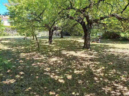 terrain constructible 950 m² arboré – pierrevert – 171 m² d’emprise au sol