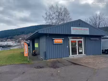 session bail