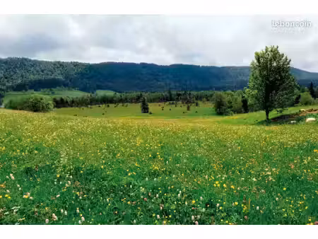 recherche achats terrain verger  friche  bosquet