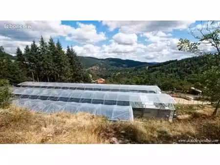 terrain et activité spiruline