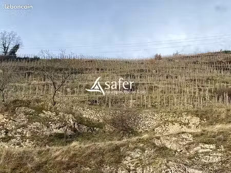 vente de vigne saint joseph