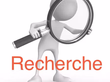 recherche t2 sur la palme