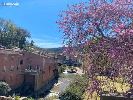 vente maison avec terrain et ruine cadastrée
