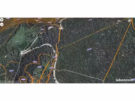 importante parcelle très boisée à 30mn est d'ajaccio
