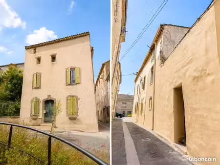 maison de caractère xixᵉ rénovée - jardin