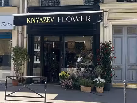 location commerce paris 75016 41m²