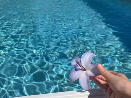 maison avec piscine