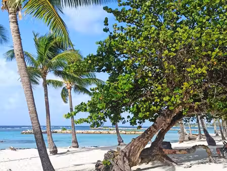 f2 meublé plage de sainte-anne