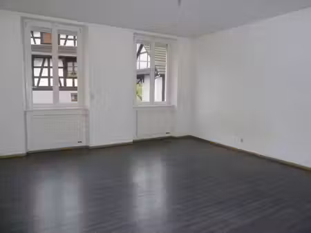 fischer immobilier