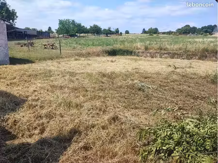 terrain constructible