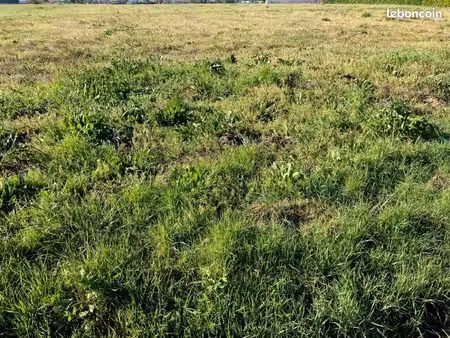 terrain 1 960 m² cherac