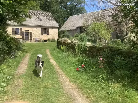 vous rêvez de votre propre petit domaine ? deux maisons  2 hectares  grande écurie et chal