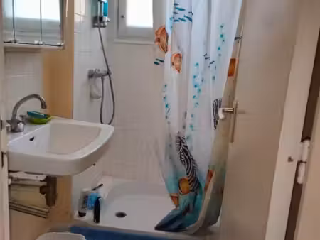 maison 1 pièce 11 m²