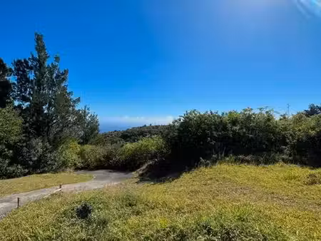 rare maison sur 3900m² de terrain - la possession