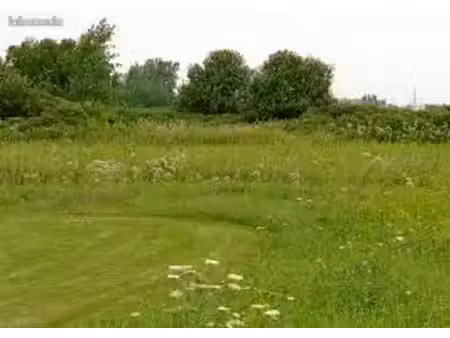terrain 361 m² rospez