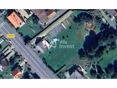 we invest joan tupeanskas