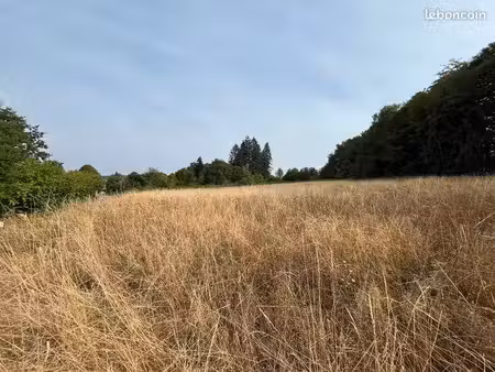 terrain 2 977 m² savennes