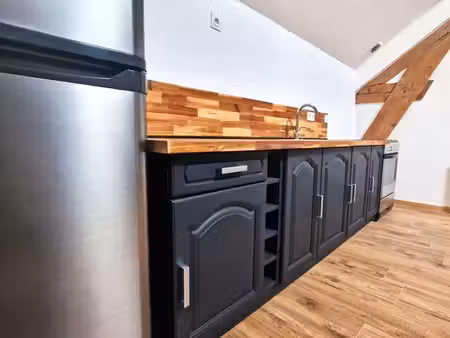 appartement mezzanine 42 m² (50 m² au sol)