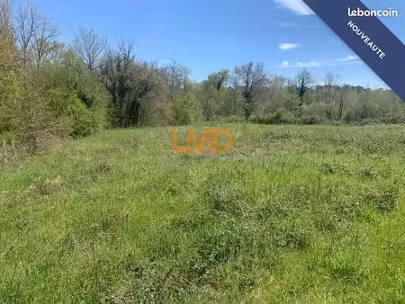 terrain 1771 m² beauronne