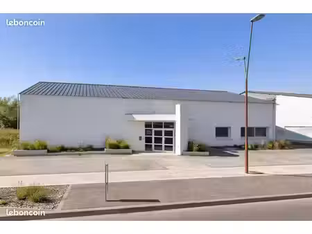 local professionnel / commercial – pierrelatte – 650 m² – vente ou location