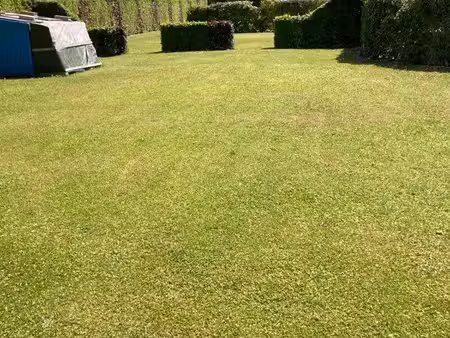 terrain constructible