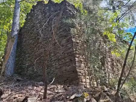 terrain boisé de 2 6ha avec ruine