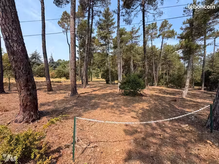 terrain 3973 m² bordezac