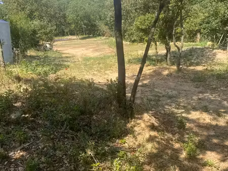 terrain de loisir agricole