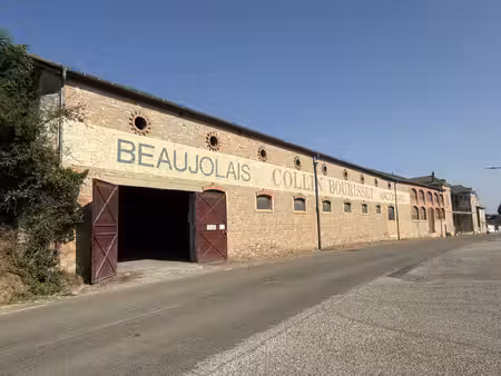 immobilier professionnel à louer crêches-sur-saône