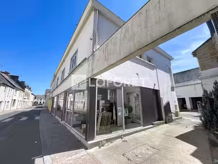 maison/immeuble guer 10 pièce(s) 280 m2