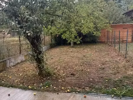 maison avec jardin
