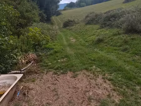 terrain agricole +bois