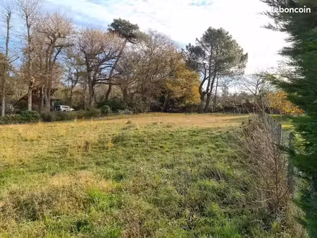 terrain 1 776 m² grayan et l hopital