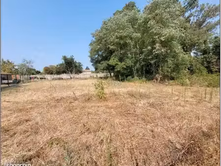 terrain constructible arboré