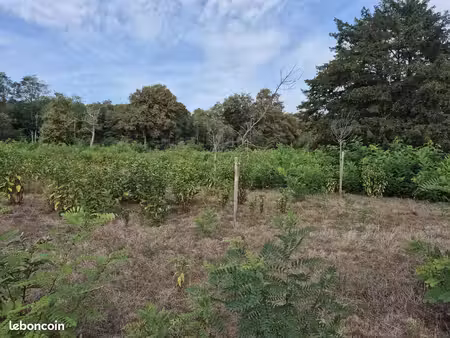 terrain 1 109 m² saint symphorien
