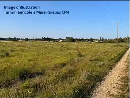terrain agricole 3000 m2