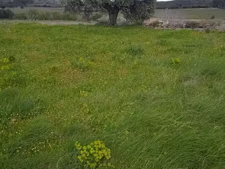 terrain agricole 15000m² non constructible