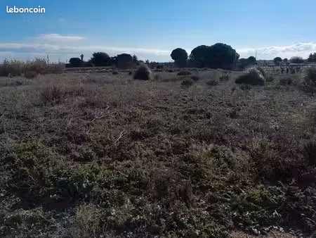 terrain agricole 2500 m2