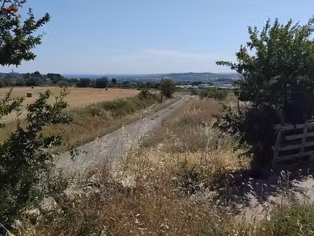 parcelle agricole