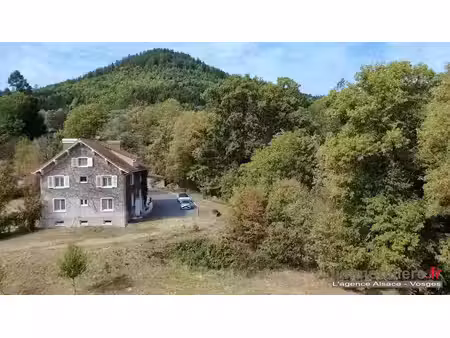 vente maison 12 pièces 254 m² à saint-die-des-vosges (88100)  474 750 €