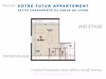 appartement 1 pièce 46 m²