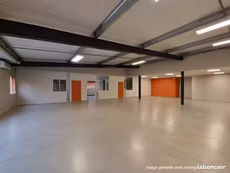 location local professionnel verfeil - 370m2