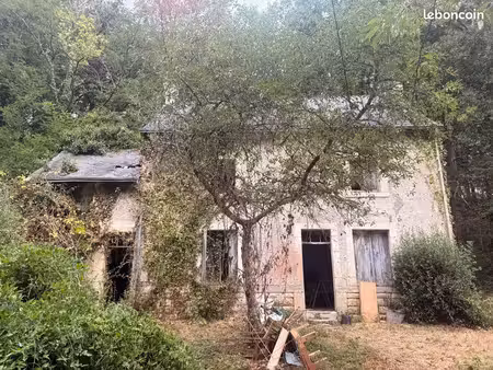 maison à rénover sur 9 000 m² de terrain