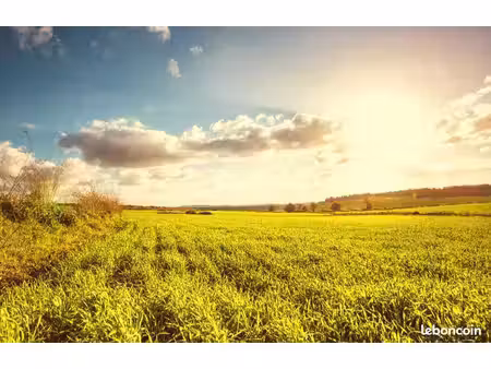 terrain 600 m² sorigny