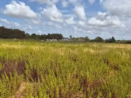 terrain agricole