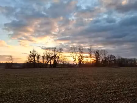 recherche terrain agricole